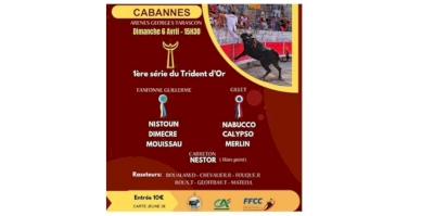 Course camarguaise