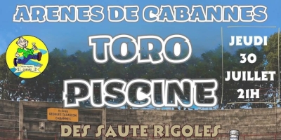 Toro piscine